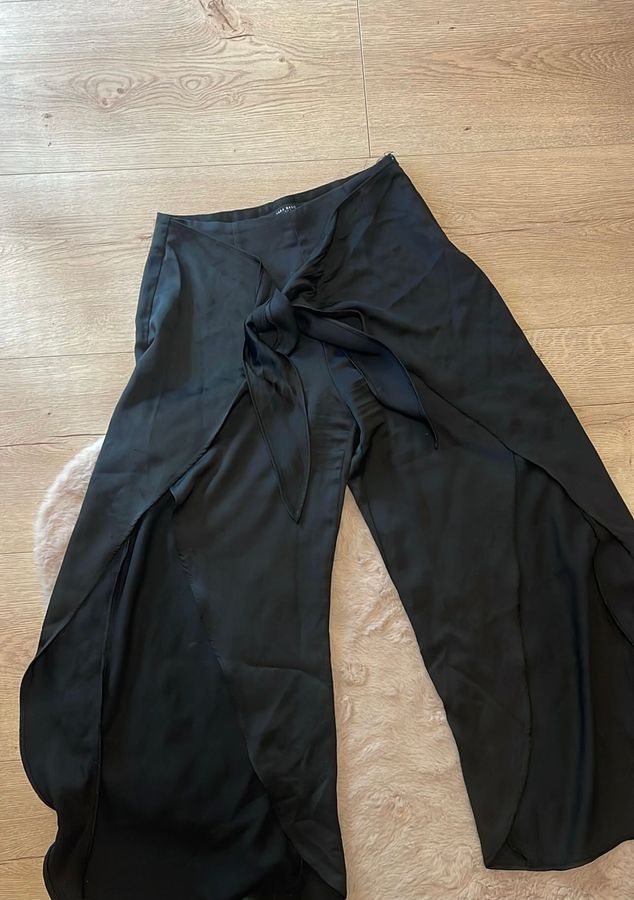 Zara pants