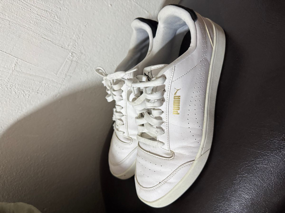 Puma