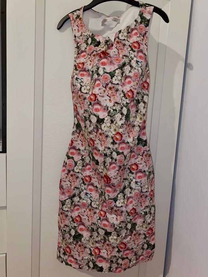 Zara Trafaluc Dress