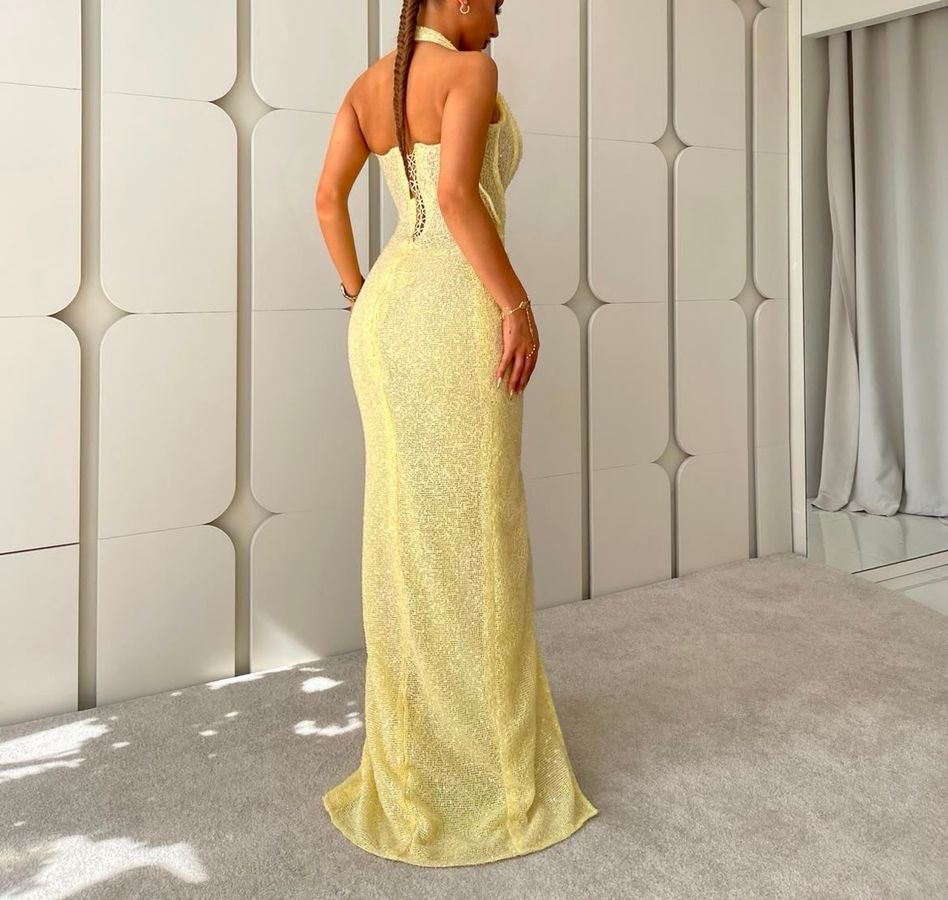 Elma Mulliqi dress 