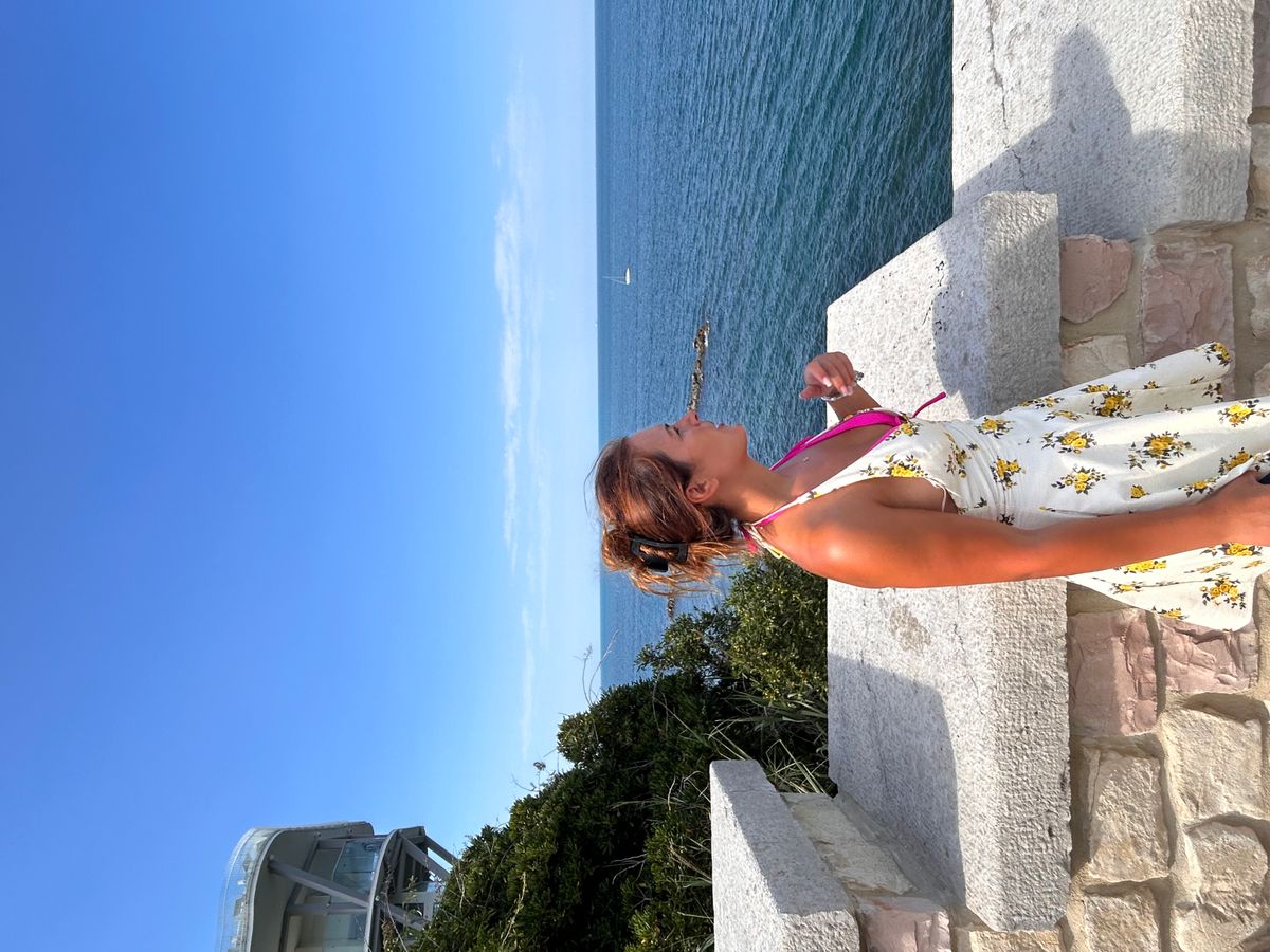 Zara dress