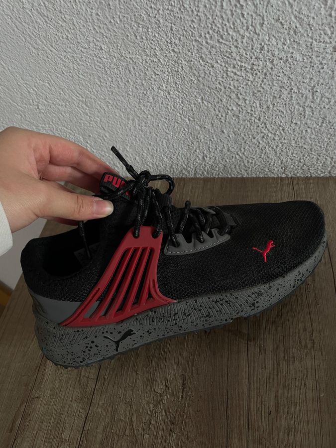 Puma