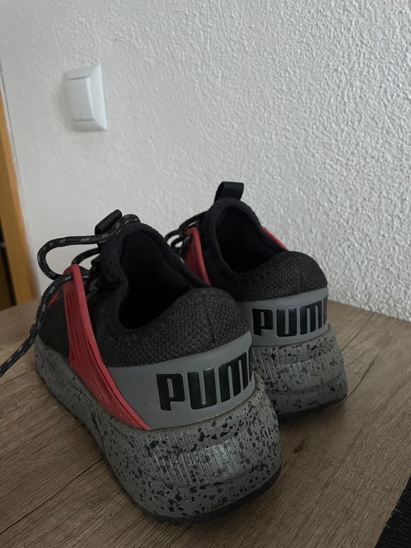 Puma 2