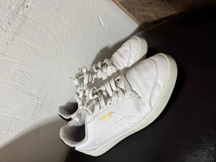 Puma 2