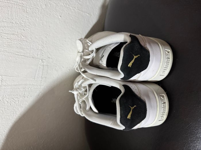 Puma 3