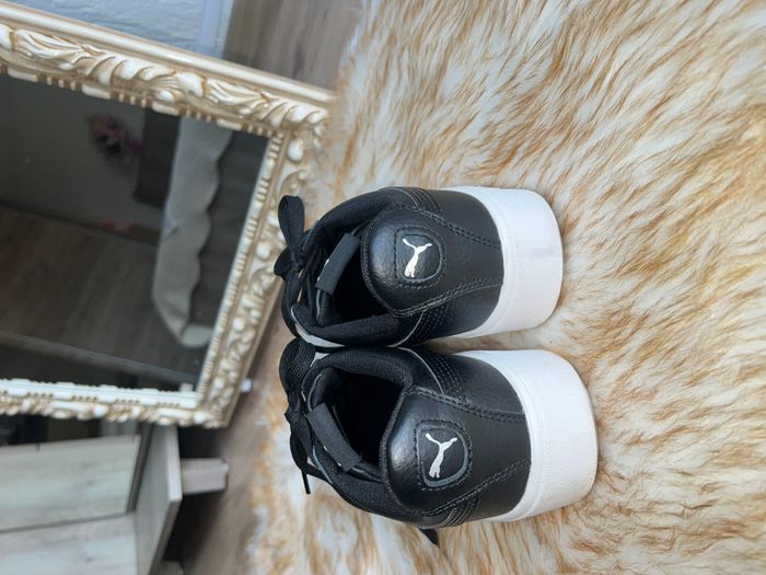Puma  2
