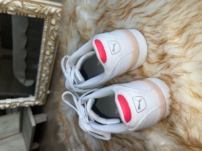 Puma 2