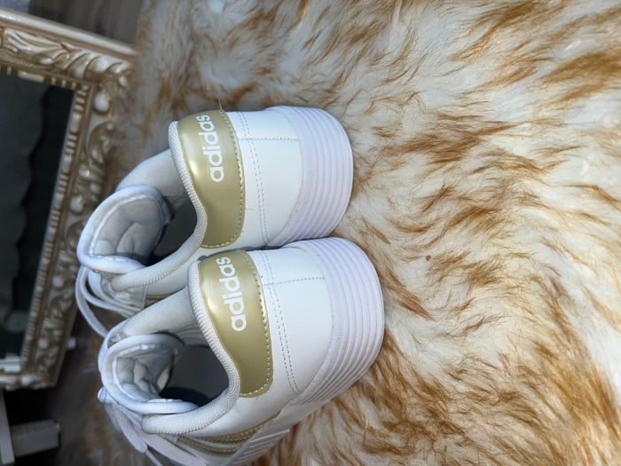 Adidas court bold 3