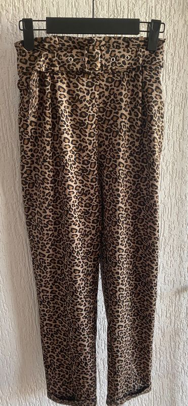 Pantolla 1