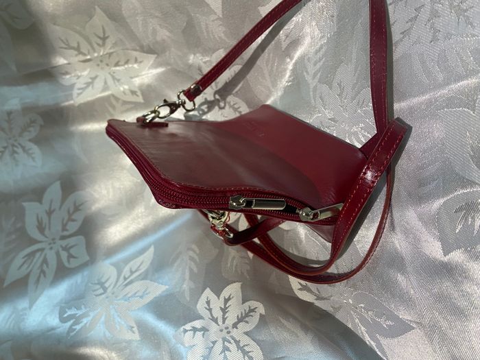 Red bag  2