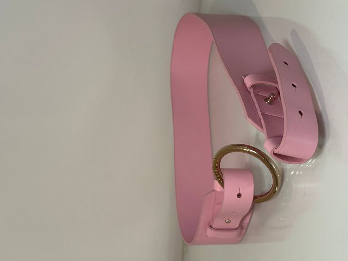 Guess Belt 2