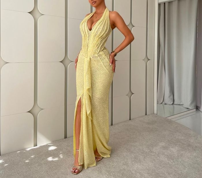 Elma Mulliqi dress  3