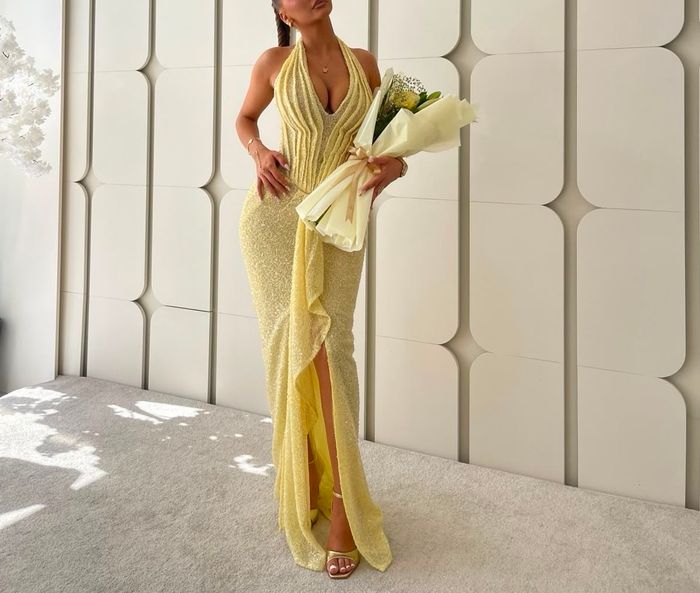Elma Mulliqi dress  2