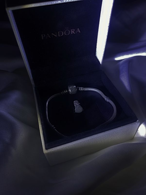 Pandora silver bracelet  2