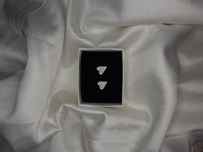 Heart Earrings  2
