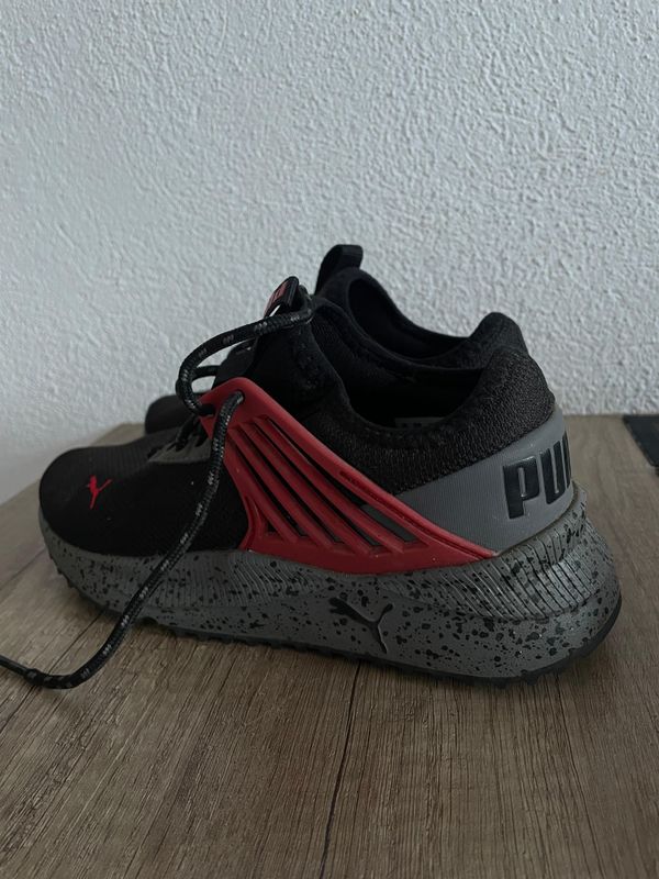 Puma 3