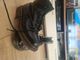 Dr. Martens 2