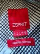 Esprit  - Men's Shirt Short Sleeve 4