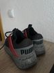 Puma 2