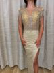 Elegant dress 2