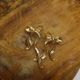 Ribbon Bows Earrings 1