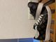 Guess Shoes 2