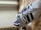 Adidas superstar  1