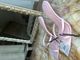 Sandale pink zara 1