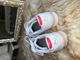 Puma 2