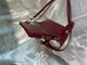 Red bag  2