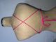 Top Xs 2