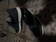 Nike shoes 2