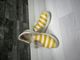 Shoes 3