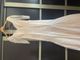 Elegant Lace Mermaid Wedding Dress- Lace, Nude & off white, Like New. Designed  by Tabja 1