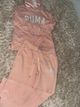 puma 1