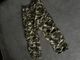 Bershka camouflage cargo pants.  1