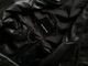 Pull and Bear cropped jacket 3