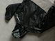 Pull and Bear cropped jacket 2